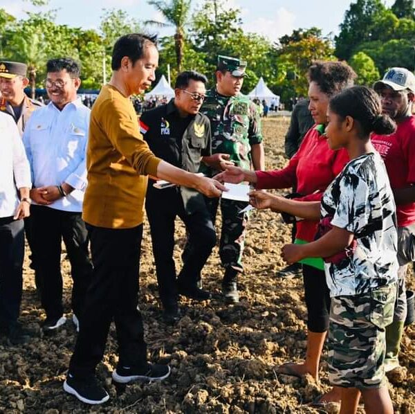 Presiden Jokowi Tinjau Food Estate di Keerom Papua