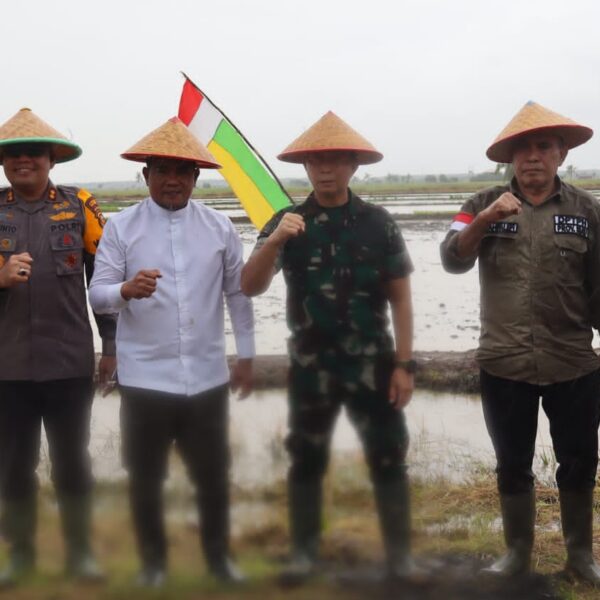 TNI Dukung ketahanan Pangan, Untuk Program Penanaman Padi IP200
