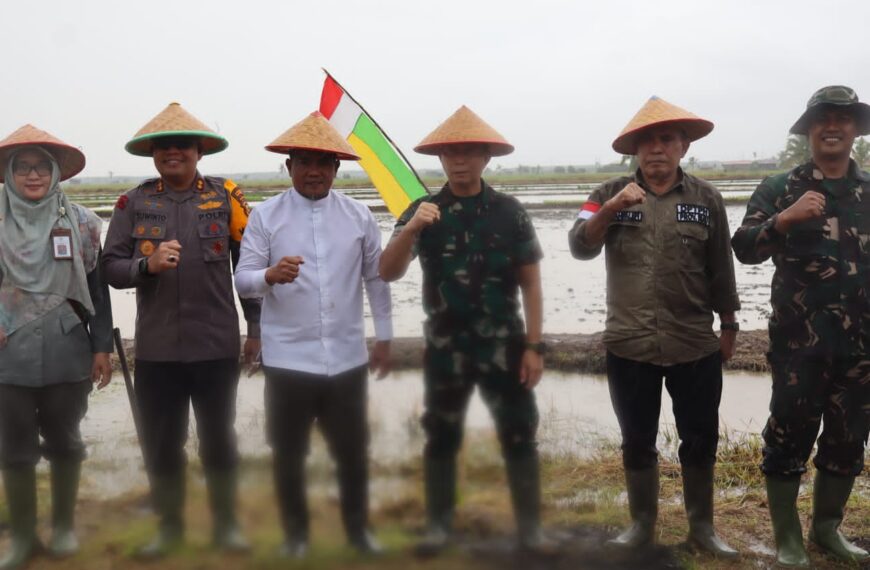 TNI Dukung ketahanan Pangan, Untuk Program Penanaman Padi…